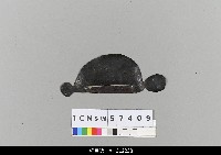 藏品(中國湖北皮影戲盔帽)的圖片